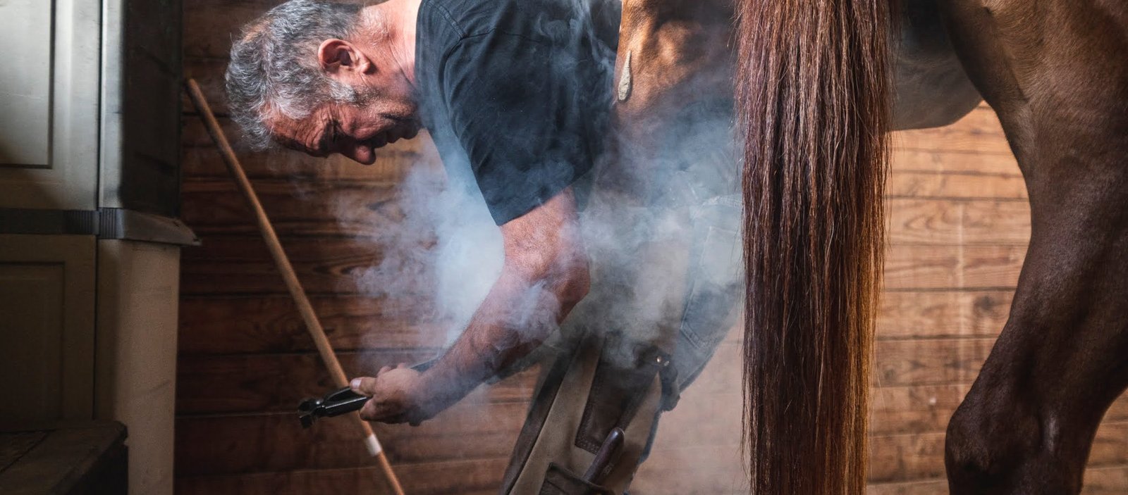 France, 2022-09-21, Reportage with Michel, marechal Ferrant for more than 30 years who criss-crosses, with his van, the most prestigious stables of the south of France. With his experience, this horse lover, is busy replacing their hooves and providing valuable advice to riders.
France, 2022-09-21, Reportage auprés de Michel, marechal Ferrant depuis plus de 30 ans qui sillone, avec son fourgon, les ecuries les plus presigieuse du sud de la France. Fort de son experience, cet amoureux du cheval, s'affaire a remplacer leurs sabots et fournir de precieux conseils aux cavaliers.